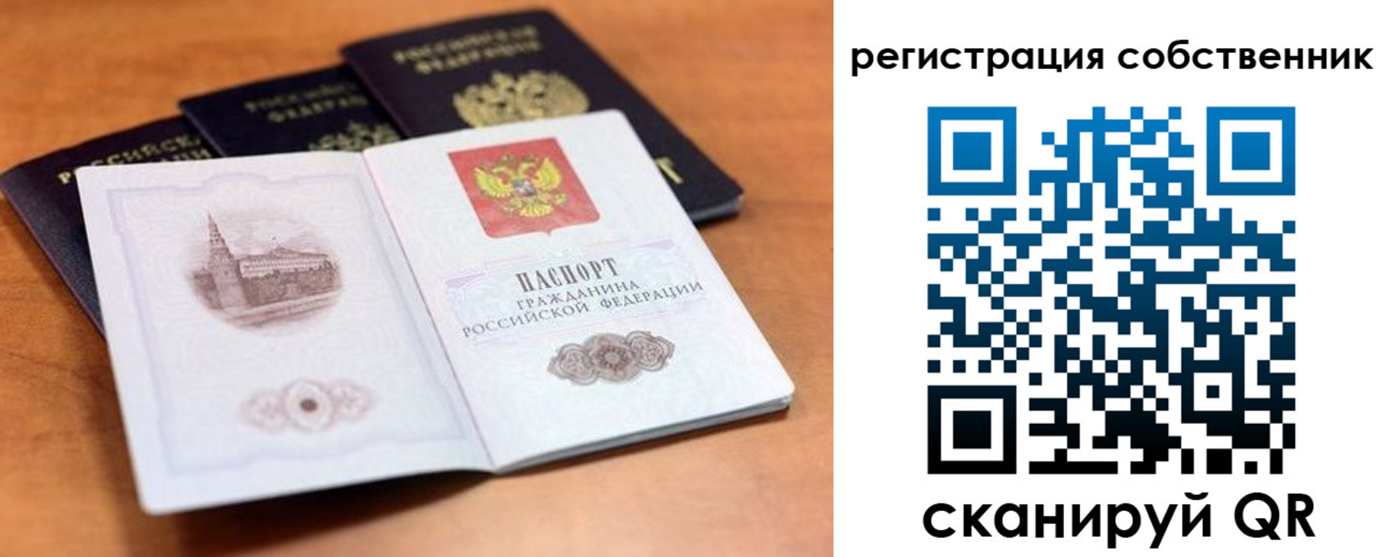 прописка поиск в Калининграде